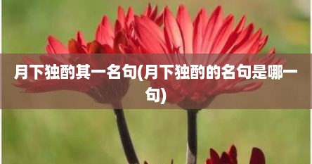 月下独酌其一名句(月下独酌的名句是哪一句)