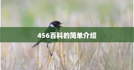456百科的简单介绍