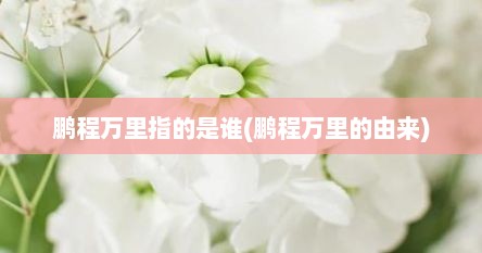 鹏程万里指的是谁(鹏程万里的由来)