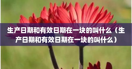 生产日期和有效日期在一块的叫什么（生产日期和有效日期在一块的叫什么）