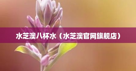 水芝澳八杯水（水芝澳官网旗舰店）