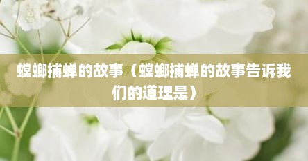 螳螂捕蝉的故事（螳螂捕蝉的故事告诉我们的道理是）