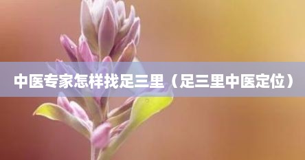 中医专家怎样找足三里（足三里中医定位）