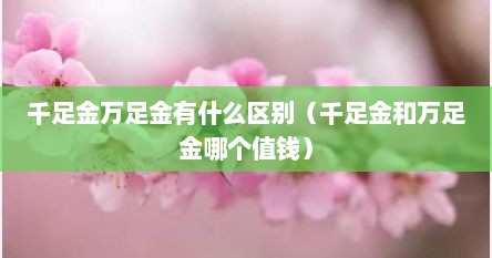 千足金万足金有什么区别（千足金和万足金哪个值钱）