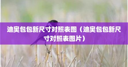 迪奥包包新尺寸对照表图（迪奥包包新尺寸对照表图片）