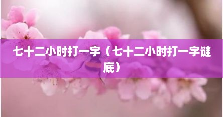 七十二小时打一字（七十二小时打一字谜底）