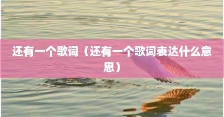还有一个歌词（还有一个歌词表达什么意思）