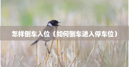 怎样倒车入位（如何倒车进入停车位）