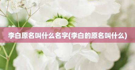 李白原名叫什么名字(李白的原名叫什么)