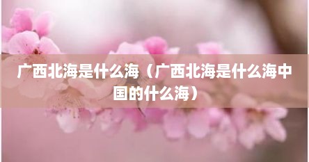 广西北海是什么海（广西北海是什么海中国的什么海）