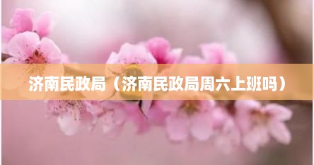 济南民政局（济南民政局周六上班吗）