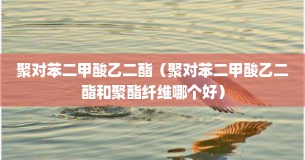聚对苯二甲酸乙二酯（聚对苯二甲酸乙二酯和聚酯纤维哪个好）