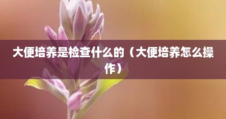 大便培养是检查什么的（大便培养怎么操作）