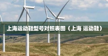 上海运动鞋型号对照表图（上海 运动鞋）
