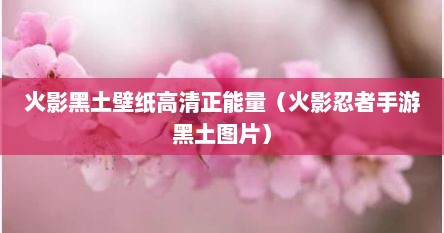火影黑土壁纸高清正能量（火影忍者手游黑土图片）