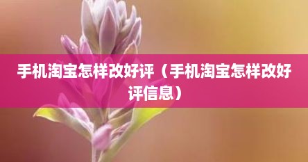 手机淘宝怎样改好评（手机淘宝怎样改好评信息）