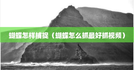 蝴蝶怎样捕捉（蝴蝶怎么抓最好抓视频）