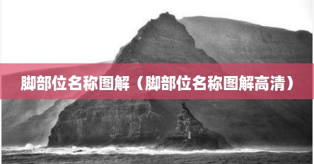 脚部位名称图解（脚部位名称图解高清）