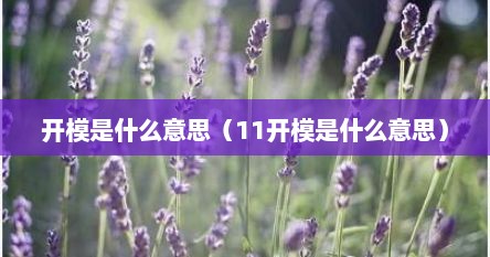 开模是什么意思（11开模是什么意思）