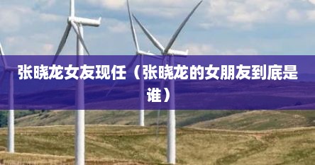 张晓龙女友现任（张晓龙的女朋友到底是谁）