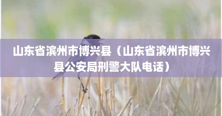 山东省滨州市博兴县（山东省滨州市博兴县**局刑警大队电话）