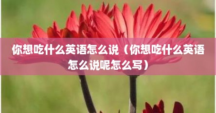 你想吃什么英语怎么说（你想吃什么英语怎么说呢怎么写）