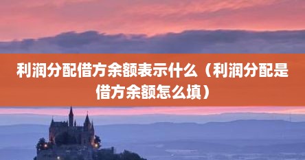 利润分配借方余额表示什么（利润分配是借方余额怎么填）