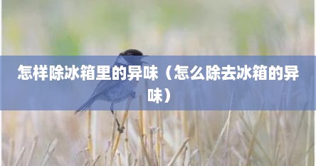 怎样除冰箱里的异味（怎么除去冰箱的异味）