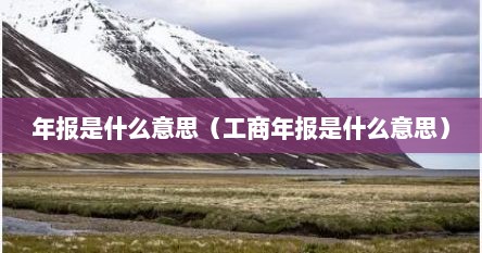 年报是什么意思（工商年报是什么意思）