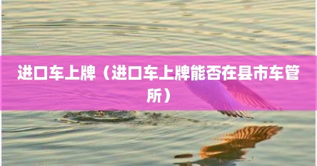 进口车上牌（进口车上牌能否在县市车管所）