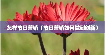 怎样节日营销（节日营销如何做到创新）