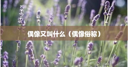 偶像又叫什么（偶像俗称）