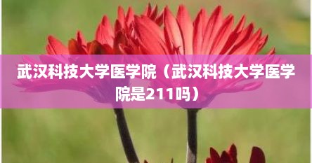 武汉科技大学医学院（武汉科技大学医学院是211吗）