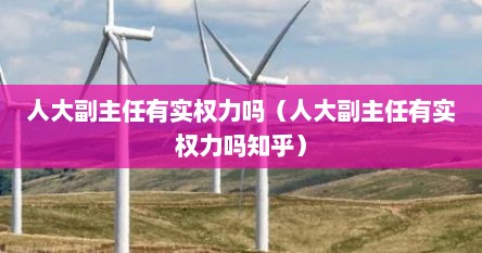 人大副主任有实权力吗（人大副主任有实权力吗知乎）