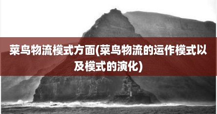 菜鸟物流模式方面(菜鸟物流的运作模式以及模式的演化)