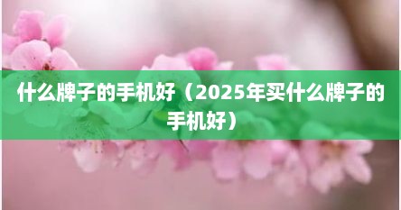 什么牌子的手机好（2025年买什么牌子的手机好）
