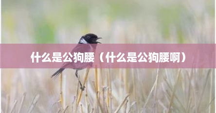 什么是公狗腰（什么是公狗腰啊）