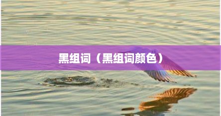 黑组词（黑组词颜色）