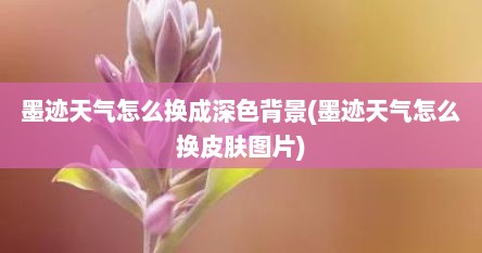 墨迹天气怎么换成深色背景(墨迹天气怎么换皮肤图片)