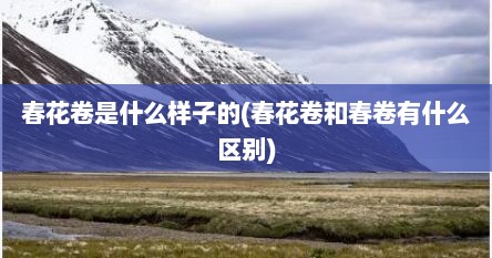 春花卷是什么样子的(春花卷和春卷有什么区别)