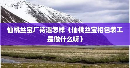 仙桃丝宝厂待遇怎样（仙桃丝宝招包装工是做什么呀）