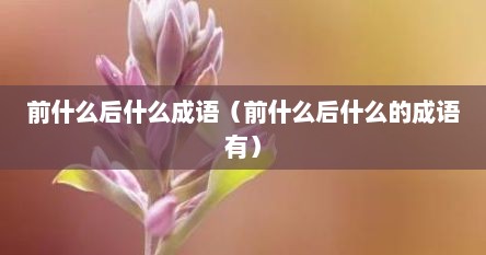 前什么后什么成语（前什么后什么的成语有）