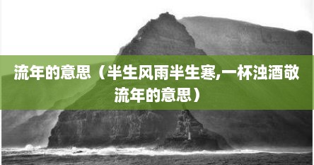 流年的意思（半生风雨半生寒,一杯浊酒敬流年的意思）
