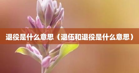 退役是什么意思（退伍和退役是什么意思）