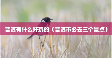 普洱有什么好玩的（普洱市必去三个景点）