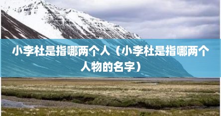 小李杜是指哪两个人（小李杜是指哪两个人物的名字）