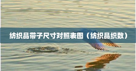 纺织品带子尺寸对照表图（纺织品织数）