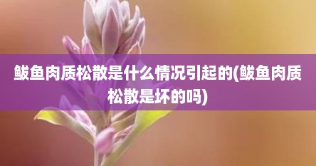 鲅鱼肉质松散是什么情况引起的(鲅鱼肉质松散是坏的吗)