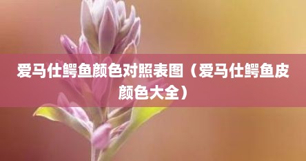 爱马仕鳄鱼颜色对照表图（爱马仕鳄鱼皮颜色大全）