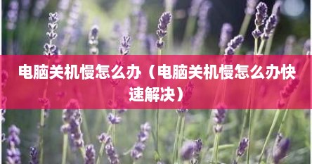 电脑关机慢怎么办（电脑关机慢怎么办快速解决）